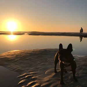 Meet your Posher, Kiel